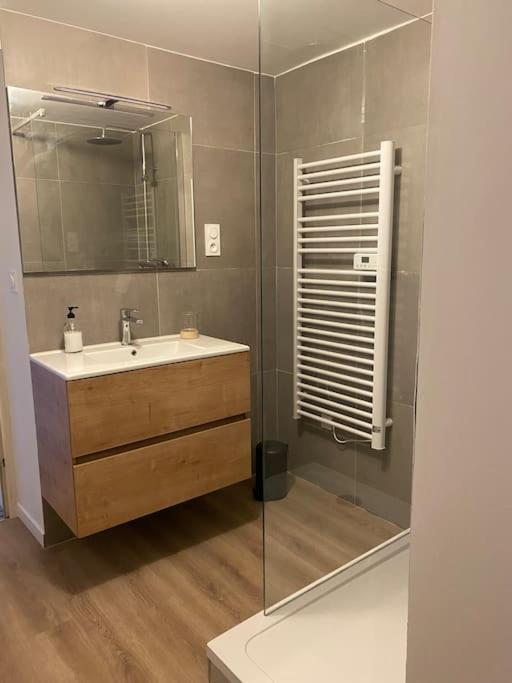נאנסי Maison Entiere 6 Personnes Jardin Terrasses Et Garage מראה חיצוני תמונה